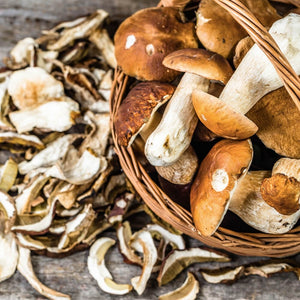 Vini da abbinare ai funghi