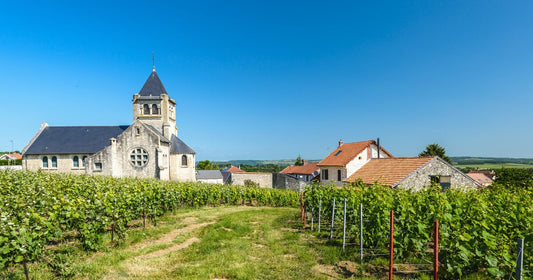 Vini Francesi: storia, caratteristiche e denominazioni principali