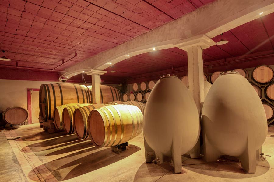 Domaine Chante Cigale