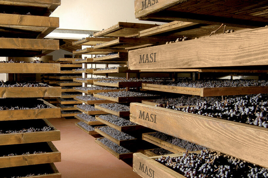 Masi