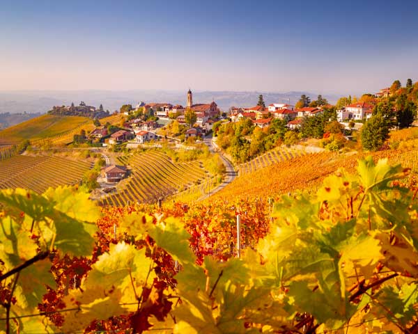 Paesaggio Langhe