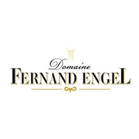Alsace Riesling Réserve 2023 - Fernand Engel