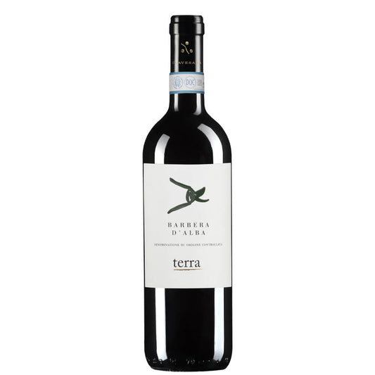 Barbera d’Alba DOC 2021 Magnum - Clavesana