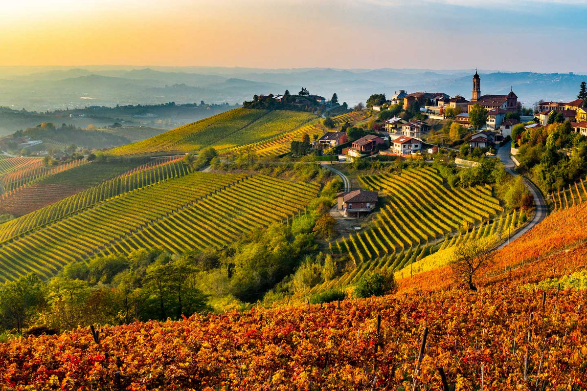 Weine aus den Langhe