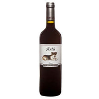 Marche Rosso IGT “Artù” 2022 - Fattoria San Lorenzo