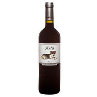 Marche Rosso IGT “Artù” 2021 - Fattoria San Lorenzo