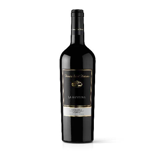 Valpolicella Superiore DOC "La Bandina" 2020 - Tenuta Sant’Antonio