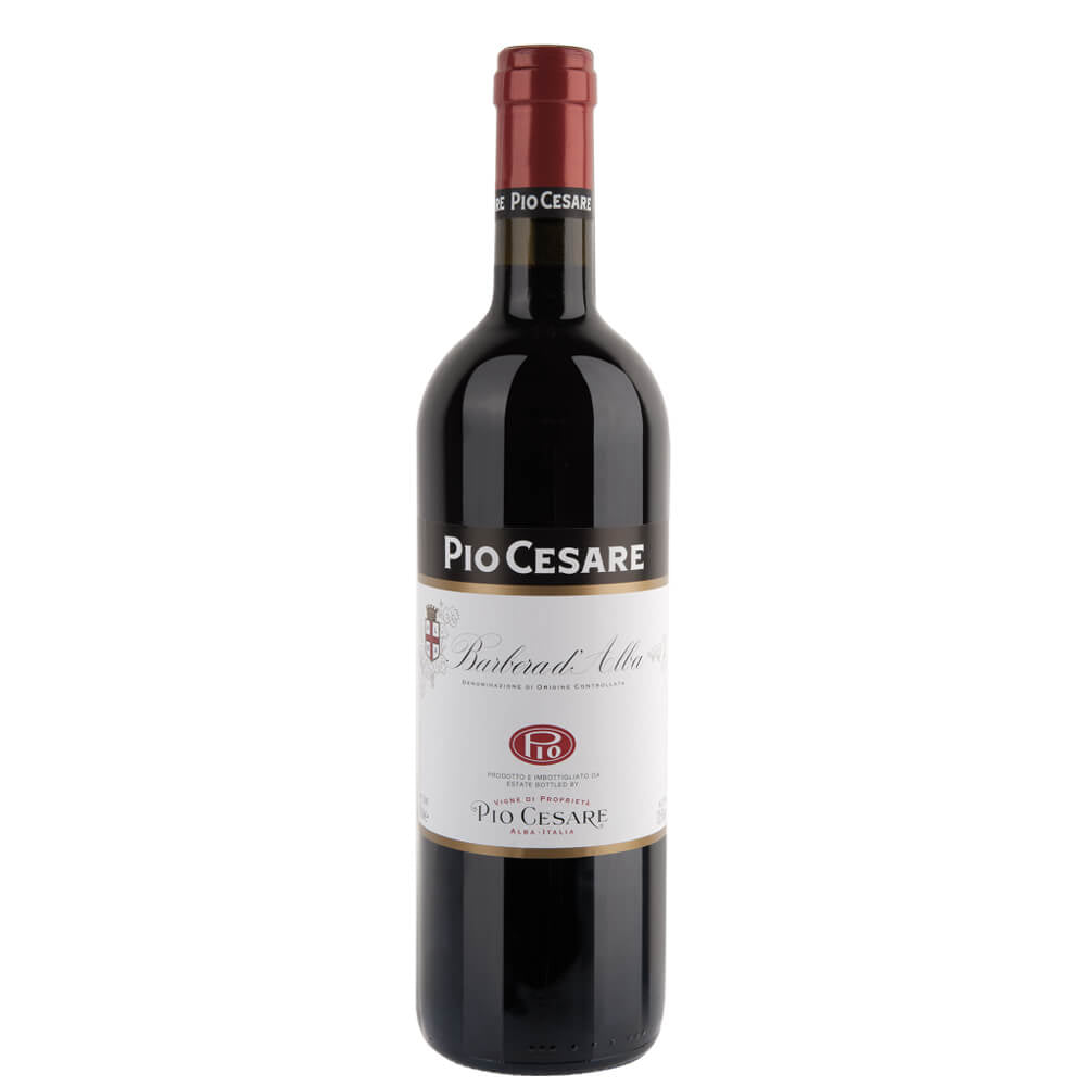 Barbera d'Alba DOC 2024 - Pio Cesare