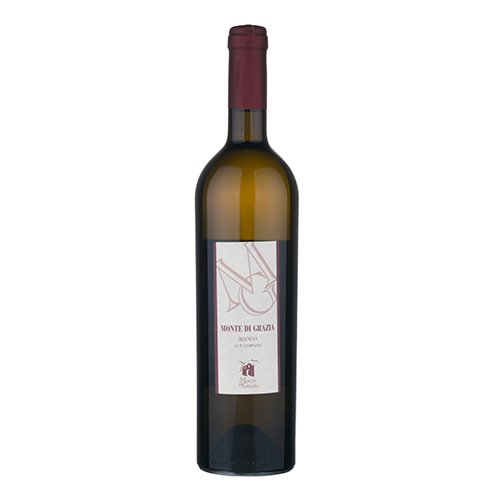 Campania Bianco IGT 2021 - Monte di Grazia