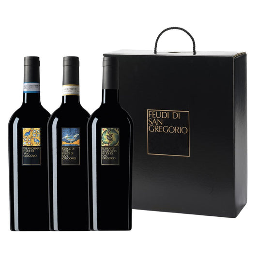 Irpinia Aglianico DOC “Rubrato” 2021 - Feudi di San Gregorio