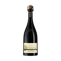 Lambrusco Grasparossa di Castelvetro DOC "Vigneto Cialdini" 2021 - Cleto Chiarli