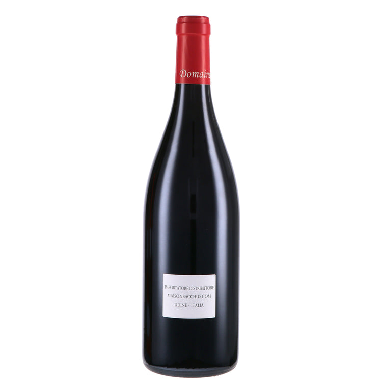 Sancerre Rouge 2020 - Domaine Paul Cherrier
