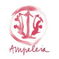 Costa Toscana Cabernet Franc IGT 2022 - Ampeleia