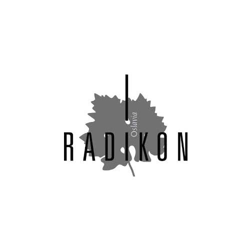 Venezia Giulia Rosso IGT "Pignoli" 2004 - Radikon (0.5l)