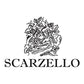 Barbera d'Alba Superiore DOC 2022 - Scarzello