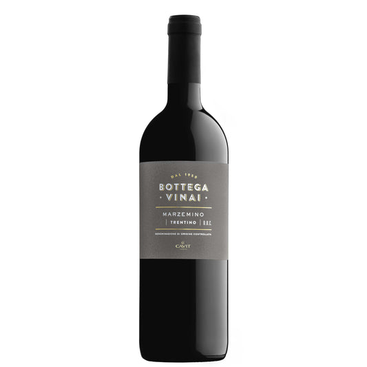 Trentino Marzemino DOC 2022 - Bottega Vinai