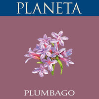 Sicilia Nero d’Avola DOC "Plumbago" 2022 - Planeta
