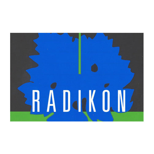 Venezia Giulia Ribolla Gialla IGT 2020 - Radikon (1l)