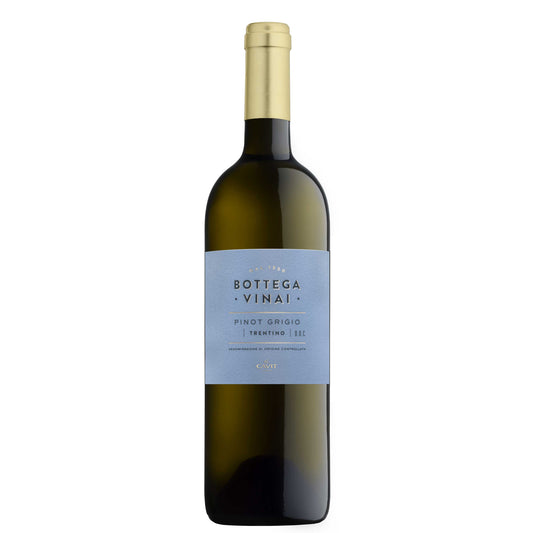 Trentino Pinot Grigio DOC 2023 - Bottega Vinai