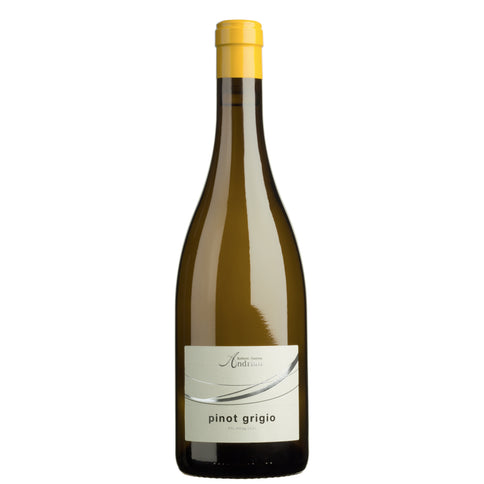Alto Adige Pinot Grigio DOC 2024 - Andriano