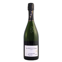 Champagne Brut Nature Premier Cru "Les Blanchiens" 2017 - Roger Pouillon et Fils