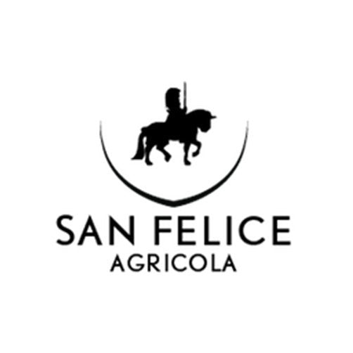 Brunello di Montalcino Riserva DOCG “Il Quercione” 2019 - Campogiovanni, San Felice