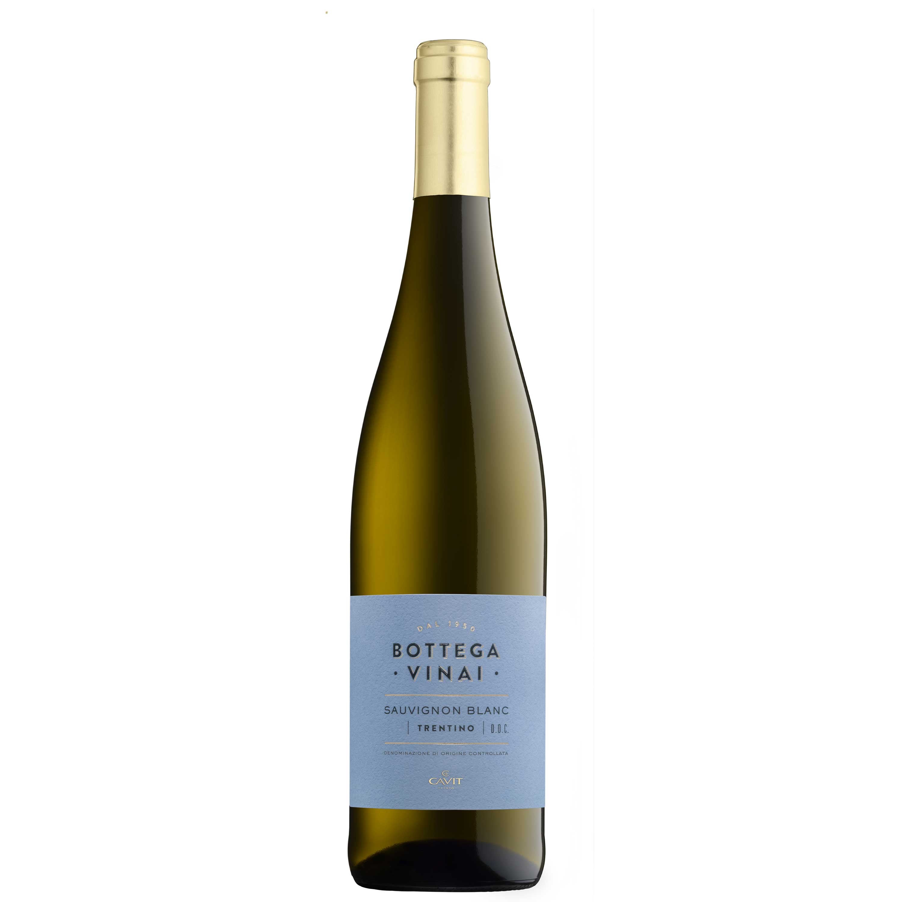 Trentino Sauvignon DOC 2025 - Bottega Vinai