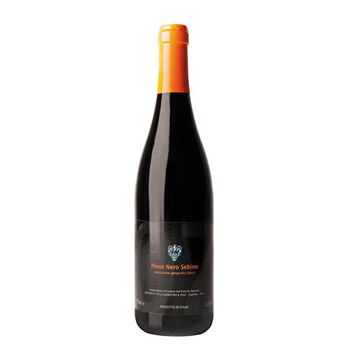 Sebino Pinot Nero IGT 2023 - Ricci Curbastro
