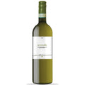 Verdicchio dei Castelli di Jesi Classico Superiore DOC "Serra 46" biologico 2025 - Filodivino (tappo a vite)
