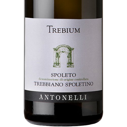Spoleto Trebbiano Spoletino DOC "Trebium" 2024 - Antonelli San Marco